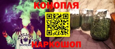 стафф Моздок