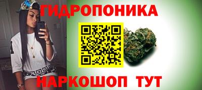стафф Моздок