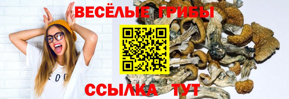 Долгопрудный  где найти наркотики  Вход с VPN  Галлюциногенные грибы Magic Shrooms 